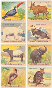 1930s R78 World Wide Gum "Jungle Gum" Complete Set (48)
